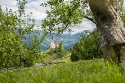 Naturlandschaft in der Nähe des Bauernhofs