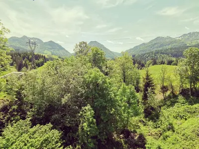 Naturlandschaft in der Nähe der Ferienwohnung