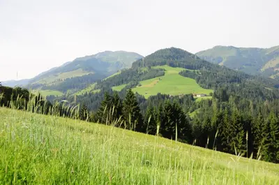 Naturlandschaft in der Nähe der Ferienwohnung
