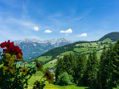 Naturlandschaft in der Nähe des Hotels
