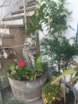 Ein Garten an der Unterkunft Apartment Helga