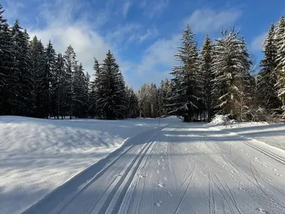 Ferienhaus Hildegard im Winter