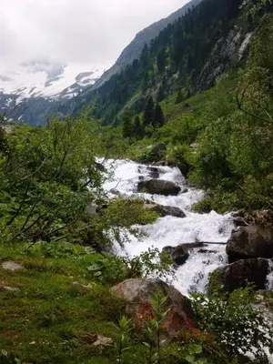 Naturlandschaft in der Nähe der Ferienwohnung