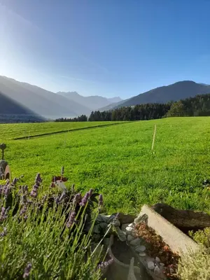 Naturlandschaft in der Nähe des Bauernhofs