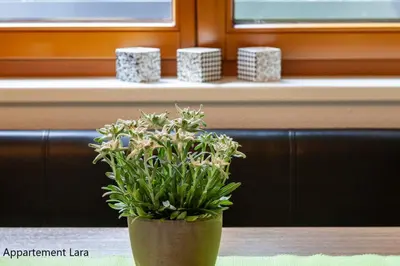 Grundriss der Unterkunft Appartement Lara & Lea