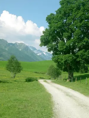Naturlandschaft in der Nähe der Ferienwohnung