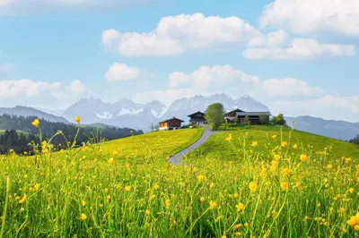 Naturlandschaft in der Nähe der Ferienwohnung