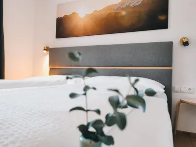 Ein Bett oder Betten in einem Zimmer der Unterkunft Apart Pair im Dorf