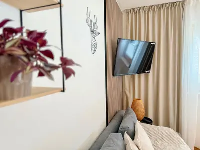 TV/Unterhaltungsangebot in der Unterkunft Apart Pair im Dorf