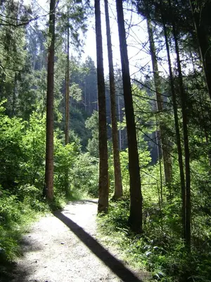 Naturlandschaft in der Nähe der Ferienwohnung
