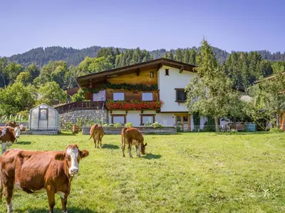 Tiere in der Ferienwohnung oder in der Nähe