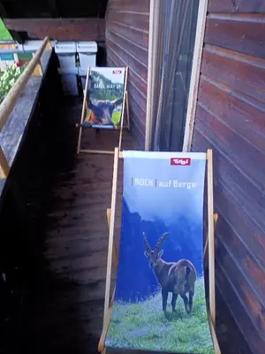Tiere in der Ferienwohnung oder in der Nähe
