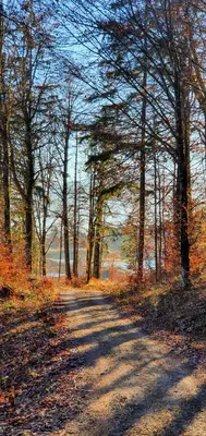 Naturlandschaft in der Nähe der Ferienwohnung