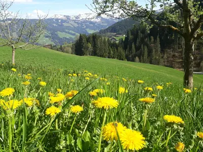 Naturlandschaft in der Nähe der Ferienwohnung