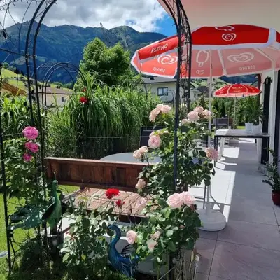 Golf & Ski Appartements Mittersill Trausmuth Monika inkl Sommercard - Golfplatz 500 m entfernt