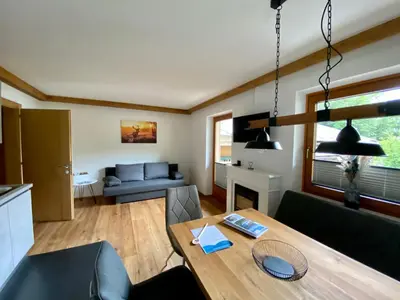 TV/Unterhaltungsangebot in der Unterkunft Apartment Moosbach