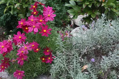 Ein Garten an der Unterkunft Farnreit