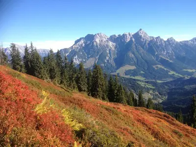 Naturlandschaft in der Nähe der Pension