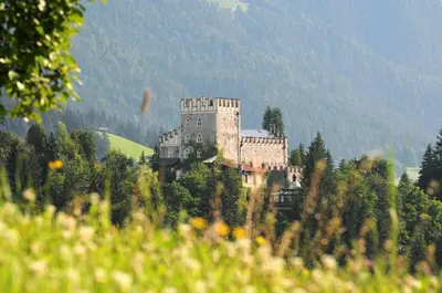 Naturlandschaft in der Nähe des Bauernhofs
