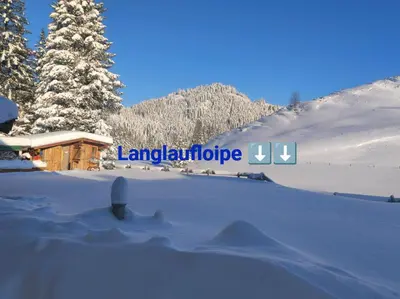 Naturlandschaft in der Nähe der Ferienwohnung