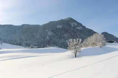 Ferienhaus Weber-Häusl im Winter
