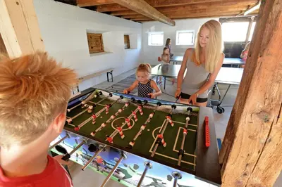 Gäste, die in der Unterkunft Ferienhaus Hinterebenhub übernachten