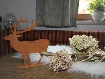Tiere in der Ferienwohnung oder in der Nähe