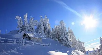 Haus Mariandl im Winter
