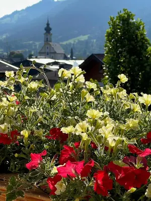 Ein allgemeiner Bergblick oder ein Berglick von des Aparthotels aus