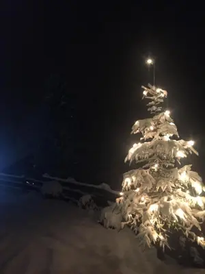 Bergwald Appartements Alpbach im Winter