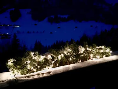 Bergwald Appartements Alpbach im Winter