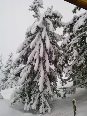 Ferienwohnungen Lemberger im Winter