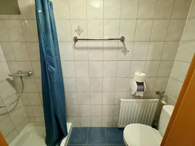 Ein Badezimmer in der Unterkunft Alpenlodge, Ferienwohnung 15