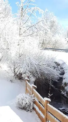 Buchensteinblick im Winter