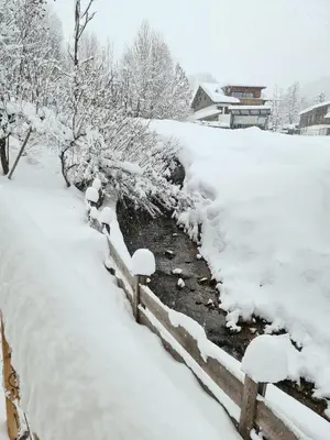 Buchensteinblick im Winter