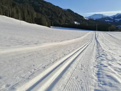 Wimmers Hundsegghof WILD002 im Winter