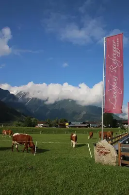 Naturlandschaft in der Nähe des Hotels