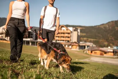 Haustiere von Gästen der Unterkunft ADEA Lifestyle Suites Fieberbrunn