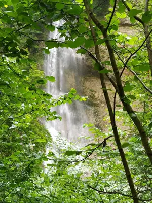 Naturlandschaft in der Nähe der Pension