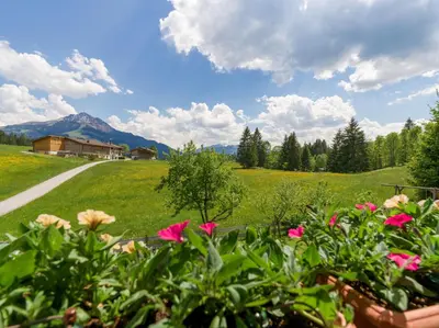 Ein allgemeiner Bergblick oder ein Berglick von der Ferienwohnung aus