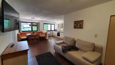 TV/Unterhaltungsangebot in der Unterkunft Absolute Active Mountain Resort