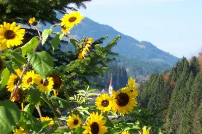 Naturlandschaft in der Nähe der Ferienwohnung