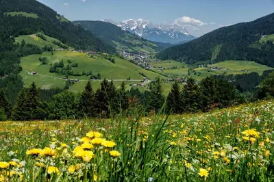 Naturlandschaft in der Nähe der Ferienwohnung