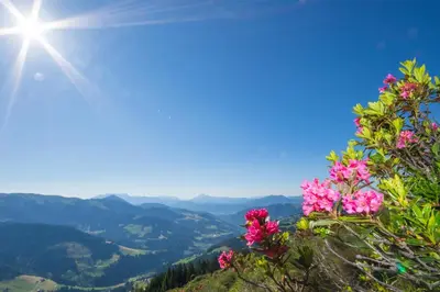 Naturlandschaft in der Nähe der Ferienwohnung