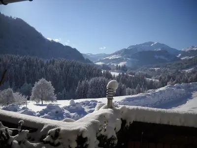 Naturlandschaft in der Nähe der Ferienwohnung