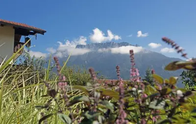 Ein allgemeiner Bergblick oder ein Berglick von der Ferienwohnung aus