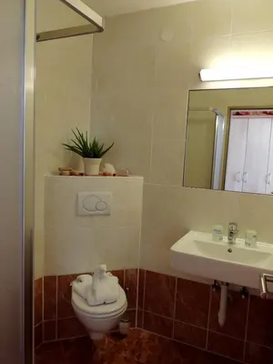 Ein Badezimmer in der Unterkunft Gästehaus Regina