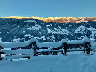 Kama Alm im Winter