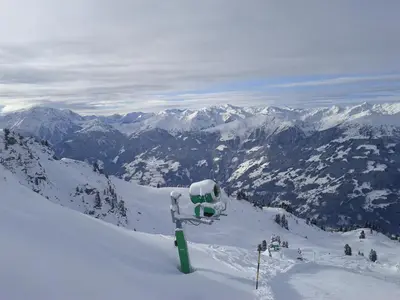 Kama Alm im Winter