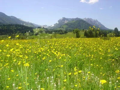 Naturlandschaft in der Nähe des Bauernhofs